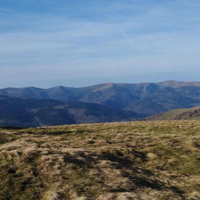 Aux Balcons De La Vallee Soultzeren Buitenkant foto