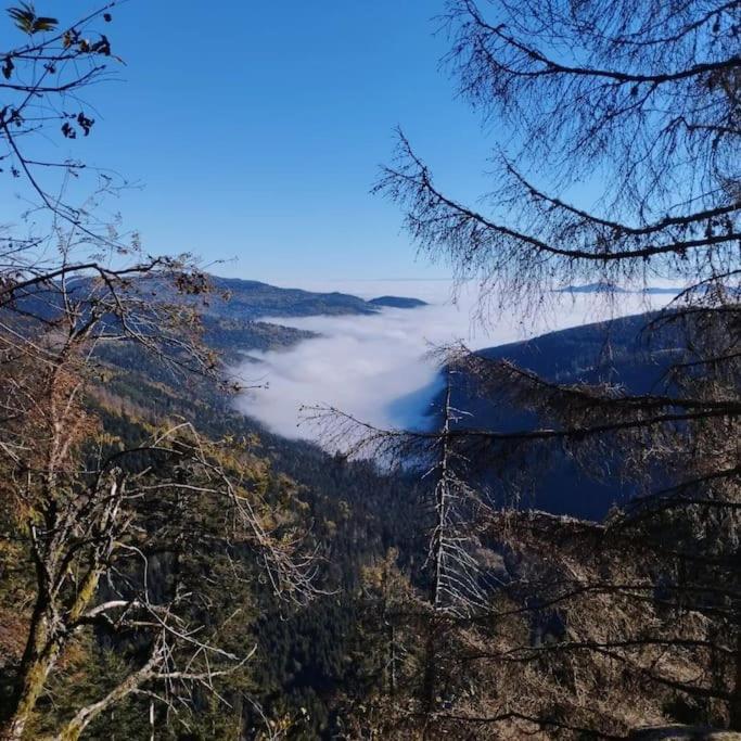 Aux Balcons De La Vallee Soultzeren Buitenkant foto