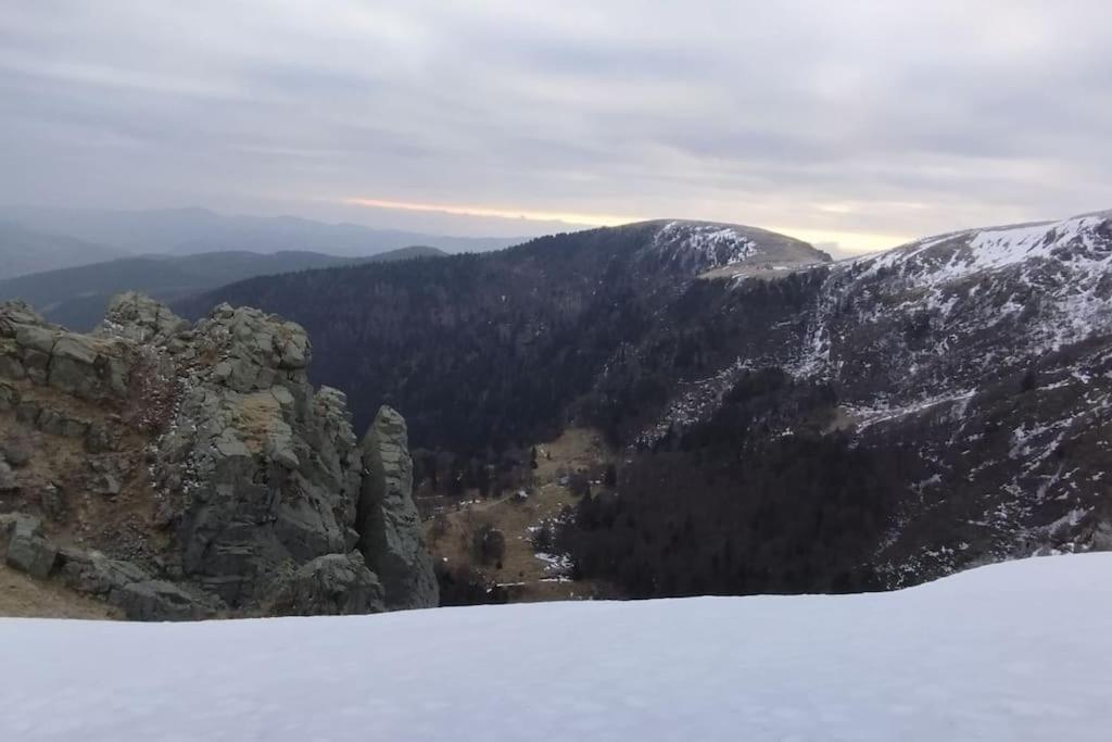 Aux Balcons De La Vallee Soultzeren Buitenkant foto