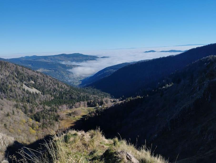 Aux Balcons De La Vallee Soultzeren Buitenkant foto