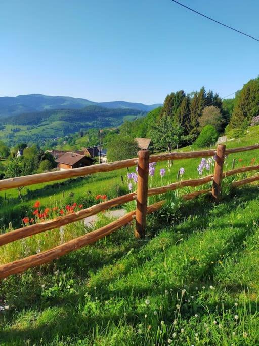 Aux Balcons De La Vallee Soultzeren Buitenkant foto