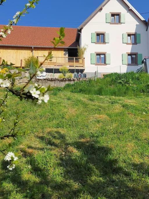 Aux Balcons De La Vallee Soultzeren Buitenkant foto